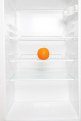orange in the refrigerator