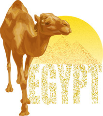 Egypt 02