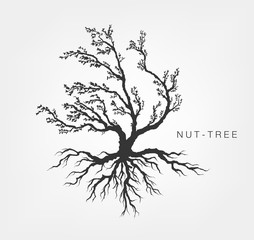 Fototapeta premium tree on a white background with leaves