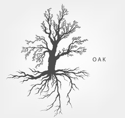 tree on a white background with leaves