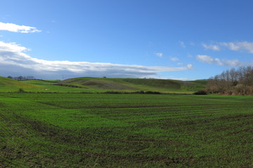 Campagna