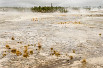 Norris Geyser Basin - Yellowstone National Park - Wyoming - USA