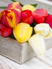 tulip bouquet on white wooden background