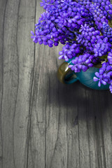 Muscari bouquet on a dark wooden table