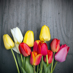 bukiet tulipanów na ciemnych drewnianych deskach - obrazy, fototapety, plakaty