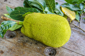 Jack-fruit close-up.