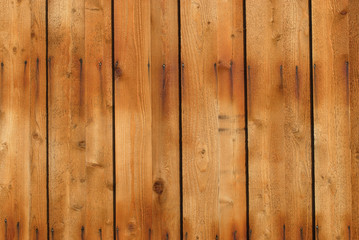 Obraz premium wood wall background