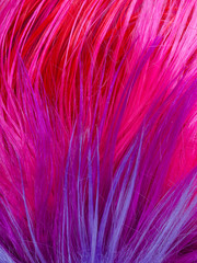 colorful artificial hair texture