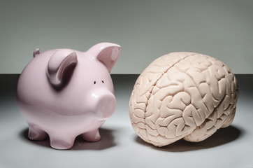 Piggy bank and human brain
