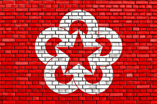 flag of Comecon painted on brick wall