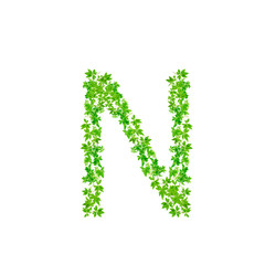 Fototapeta premium Letter N, beautiful green leaves isolated on white background,w
