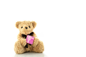 Teddy bear holding gift box isolated on white background,with co