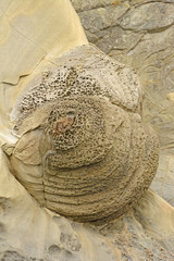 Unusual Rock Formation on the Ocean Coast