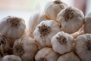 Fresh garlic
