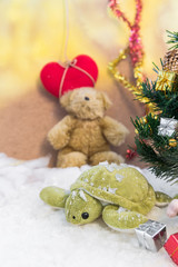 Image of turtle in snow