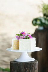 cutting the wedding cake