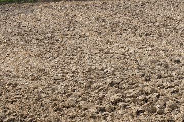 cultivated soil in the farmland