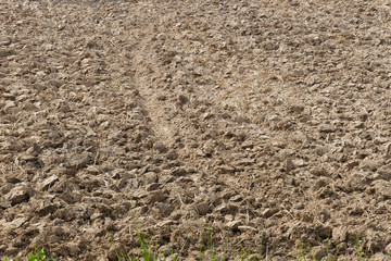 cultivated soil in the farmland