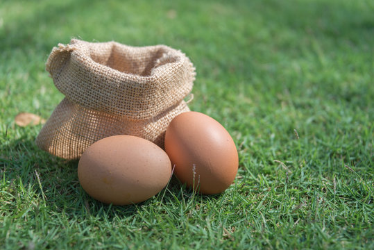 Sack fresh egg on a green grass