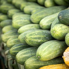 cucumber market