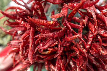 red hot chili peppers