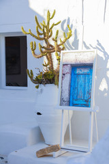 white tree pot in Santorini