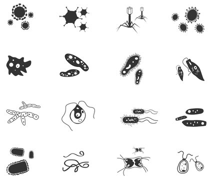 Silhouette germ virus bacteria fungus amoeba Protozoa worm parasite icon collection set 2, create by vector