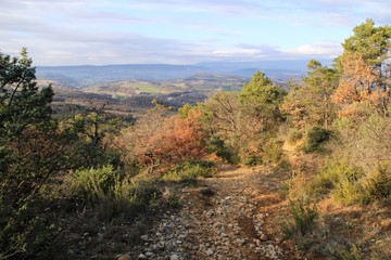 chemin de Haute Provence