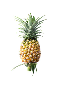 Fresh pineapple on white background.
