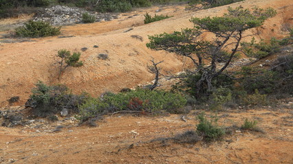 paysages de Haute Provence, 04