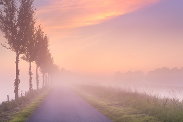 Foggy sunrise in typical polder landscape in The Netherlands