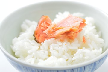 鮭のご飯