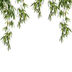 bamboo leaves isolated on white background