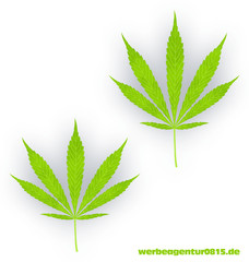 Cannabis Cannabisblatt kann als Vector über werbeagentur0815.de extra erworben werden.