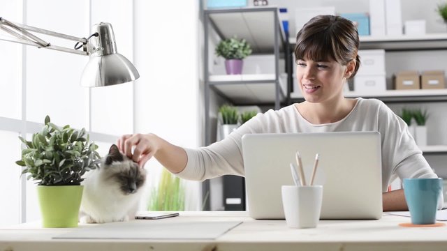Smiling woman working at home and cuddling her beautiful furry cat on the desk