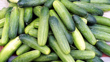 Fresh cucumber organic vegetables in farmer market