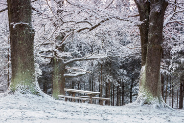 zima na Warmii © Janusz Lipiński