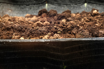 soil for planting background