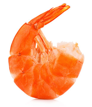 Tiger shrimp. Prawn isolated on a white background. Seafood