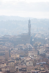 Palazzo Vecchio. Florence (Tuscany - Italy - Europe)