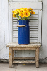 Bouquet of yellow gerbera daisies in blue bucket