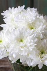 White dahlia flowers