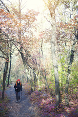 The girl with the backpack walking in the forest.