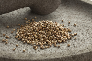 Dried coriander seeds