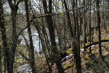 Chemin
