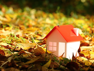 autumn house concept