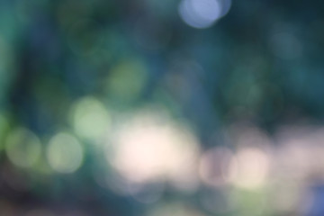 nature background blur