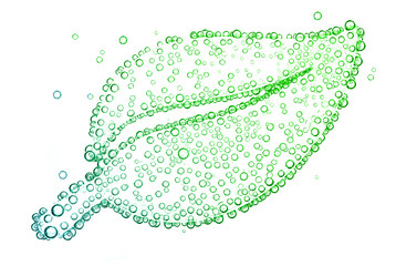 leaf with oxygen bubbles Isolated on white background