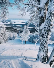 Wall murals Winter sports Cold winter in Russia. View from the top of the hill in south ural