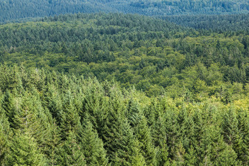 Obraz premium Blick vom Carlsbergturm über den harz